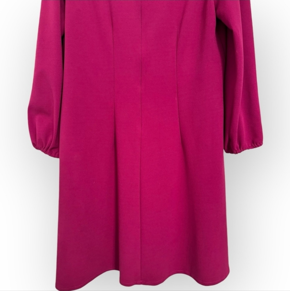 ALEXIA ADMOR Shift Dress, XL, Raspberry - Picture 10 of 14